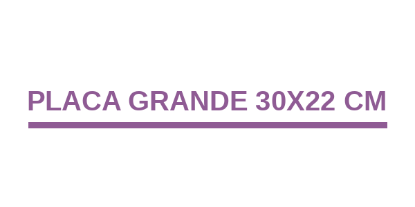 Placa Grande 30x22 cm