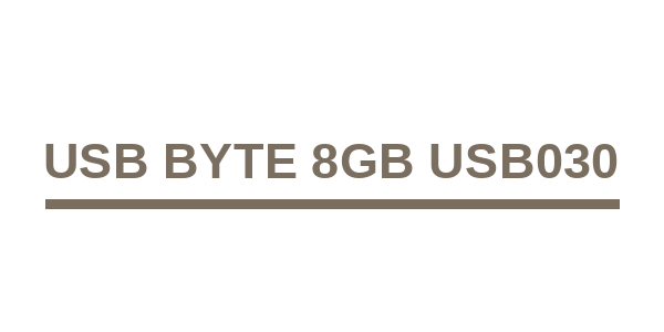 USB Byte 8gb USB030