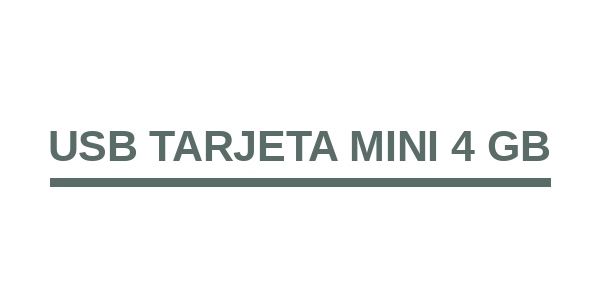 USB Tarjeta Mini 4 gb